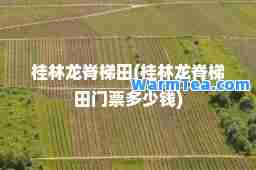 桂林龙脊梯田(桂林龙脊梯田门票多少钱)