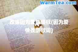 改编因为爱情侵权(因为爱情改编歌词)