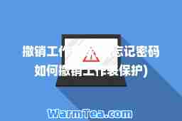 撤销工作表保护(忘记密码如何撤销工作表保护)