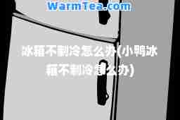 冰箱不制冷怎么办(小鸭冰箱不制冷怎么办)