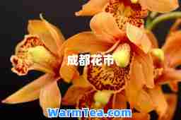 成都花市 成都花市