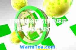 打羽毛球的技巧(羽毛球规则及基础知识介绍)