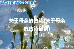关于母亲的古诗(关于母亲的古诗自创)