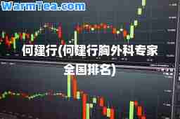 何建行(何建行胸外科专家全国排名)