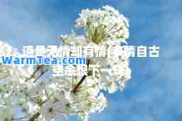道是无情却有情(多情自古空余恨下一句)
