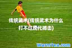 传统武术(传统武术为什么打不过现代搏击)