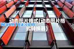 动态图片格式(动态图片格式转换器)