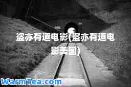 盗亦有道电影(盗亦有道电影美国)