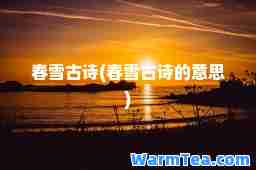 春雪古诗(春雪古诗的意思)