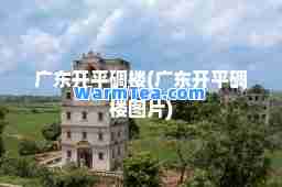 广东开平碉楼(广东开平碉楼图片)
