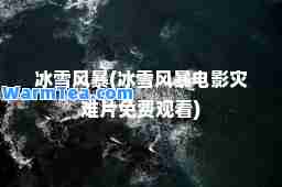 冰雪风暴(冰雪风暴电影灾难片免费观看)
