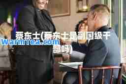 蔡东士(蔡东士是副国级干部吗)