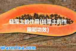 硅藻土的作用(硅藻土的作用和功效)