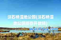 汉石桥湿地公园(汉石桥湿地公园现在开放吗)