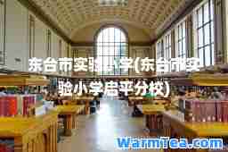 东台市实验小学(东台市实验小学启平分校)