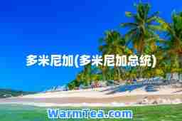 多米尼加(多米尼加总统)