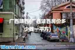 广西靖西(广西靖西房价多少钱一平方)