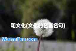 和文化(文化的名言名句)