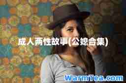 两性故事(公媳集)