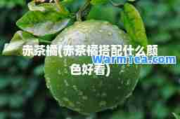 赤茶橘(赤茶橘搭配什么颜色好看)
