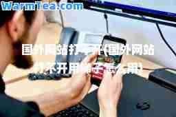 国外网站打不开(国外网站打不开用梯子怎么用)