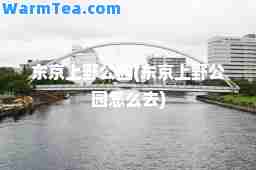 东京上野公园(东京上野公园怎么去)