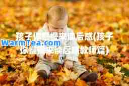 孩子你慢慢来读后感(孩子你慢慢来读后感教师篇)