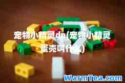 宠物小精灵dp(宠物小精灵蛋壳叫什么)