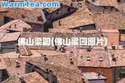 佛山梁园(佛山梁园图片)