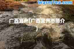 广西宜州(广西宜州市简介)