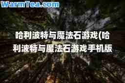 哈利波特与魔法石游戏(哈利波特与魔法石游戏手机版)