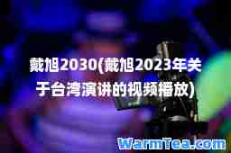 戴旭2030(戴旭2023年关于台湾演讲的视频播放)