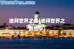 迪拜世界之最(迪拜世界之最知乎)