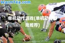单机动作游戏(单机动作游戏)