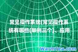 常见操作系统(常见操作系统有哪些(举例三个)、应用软件分为哪几种)