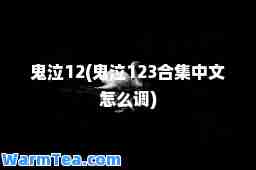 鬼泣12(鬼泣123集中文怎么调)