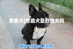 恶霸犬(恶霸犬是烈性犬吗)