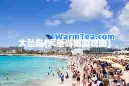 大坠岛(大坠岛旅游攻略)