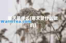 寒天是什么(寒天是什么做的)