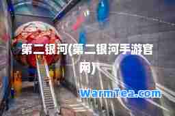 第二银河(第二银河手游官网)