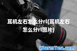 耳机左右怎么分rl(耳机左右怎么分rl图片)