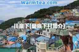 川底下(爨底下村简介) 川底下(爨底下村简介)