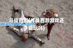 斗战西游(斗战西游游戏还能玩吗)