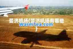 斐济机场(斐济机场有哪些)