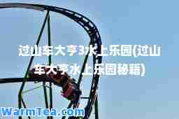 过山车大亨3水上乐园(过山车大亨水上乐园秘籍)
