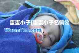 蛋蛋小子(蛋蛋小子名佩公主)