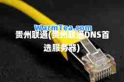 贵州联通(贵州联通DNS服务器)