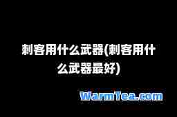 刺客用什么武器(刺客用什么武器最好)