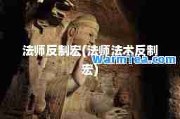 法师反制宏(法师法术反制宏)