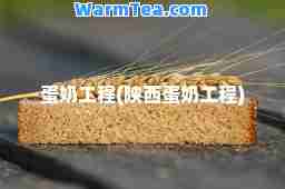 蛋奶工程(陕西蛋奶工程)